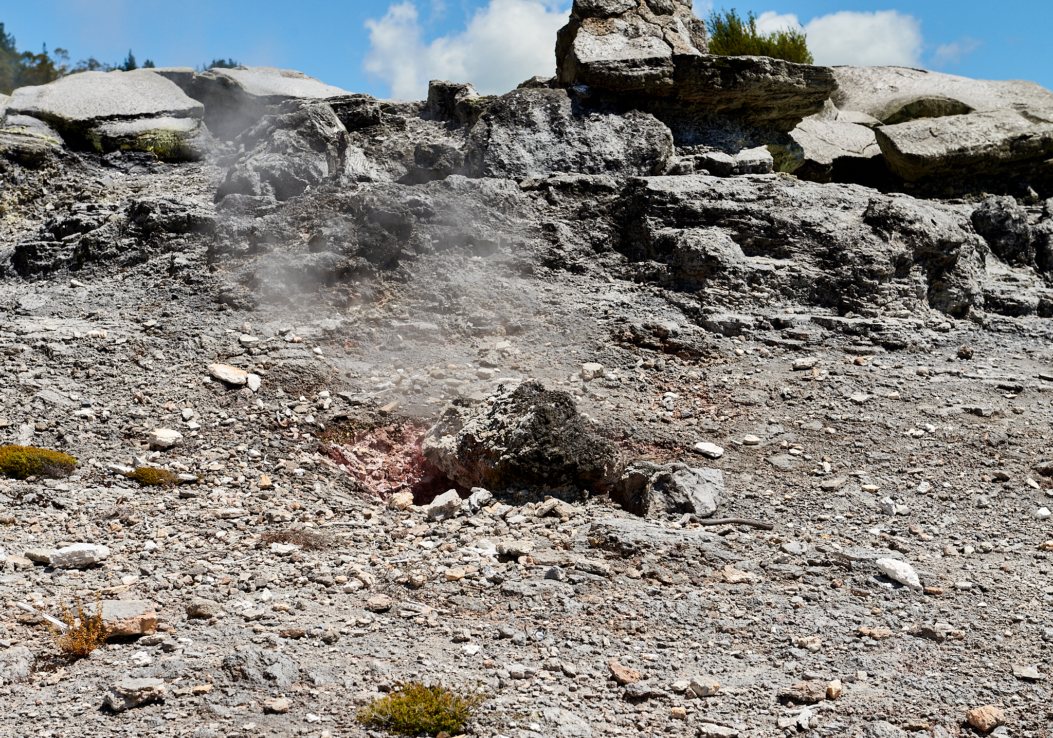20180129 136 뉴질랜드 포후투